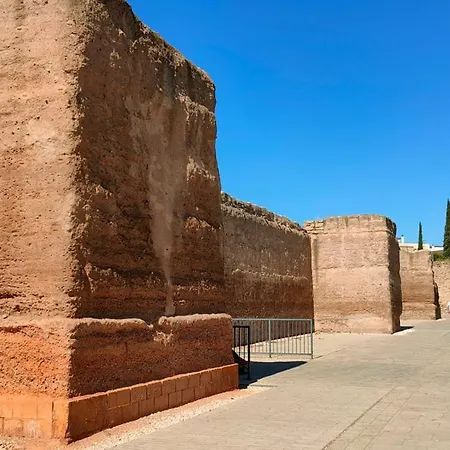 Апартаменты Patio De Rivas Y Palma Кордова