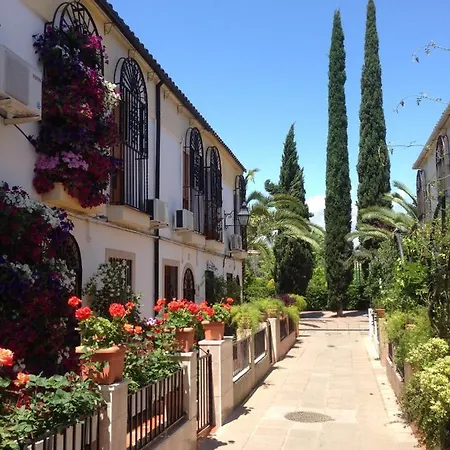 Patio De Rivas Y Palma Апартаменты *